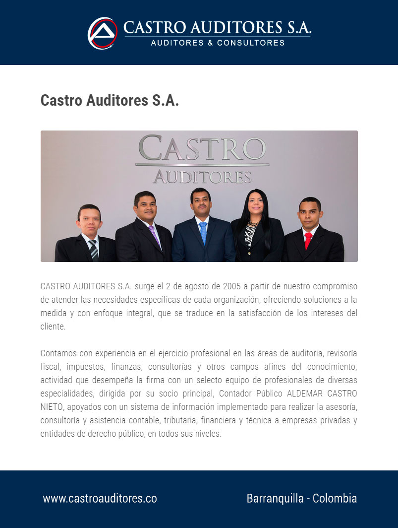 La Firma | Castro Auditores . • Auditorías, Consultorías Financieras,  Impuestos y Outsourcing Contable